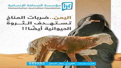 اليمن.. ضربات المناخ تستهدف الثروة الحيوانية أيضًا!!